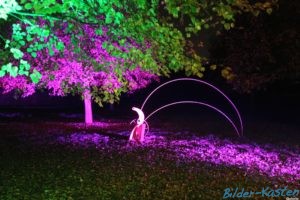 Read more about the article Herbstlichter im Park