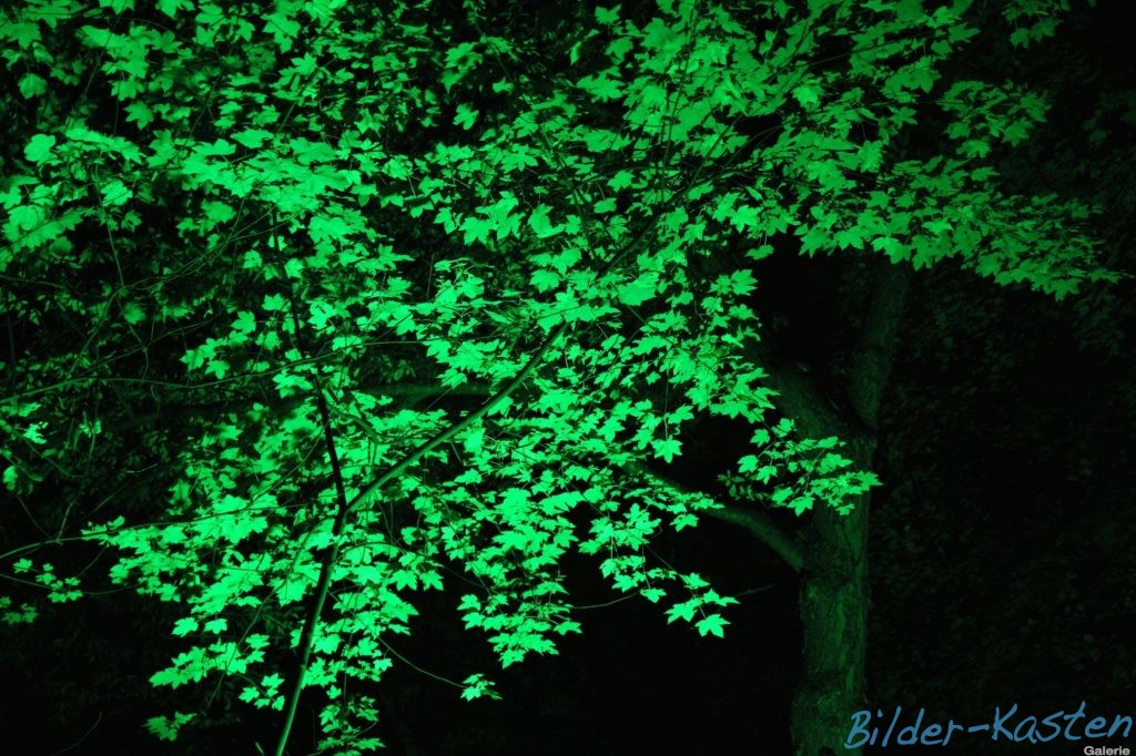 Herbstlichter im Park